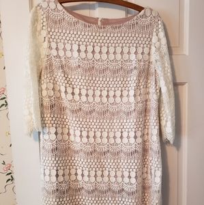 Lace overlay knee length dress